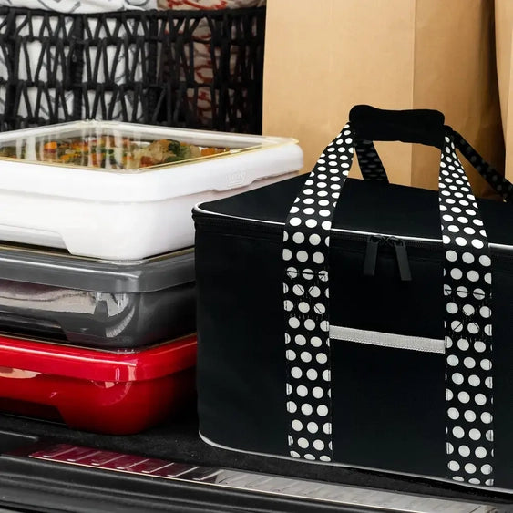 Fancy Panz Accessory - Insulated Travel Bag