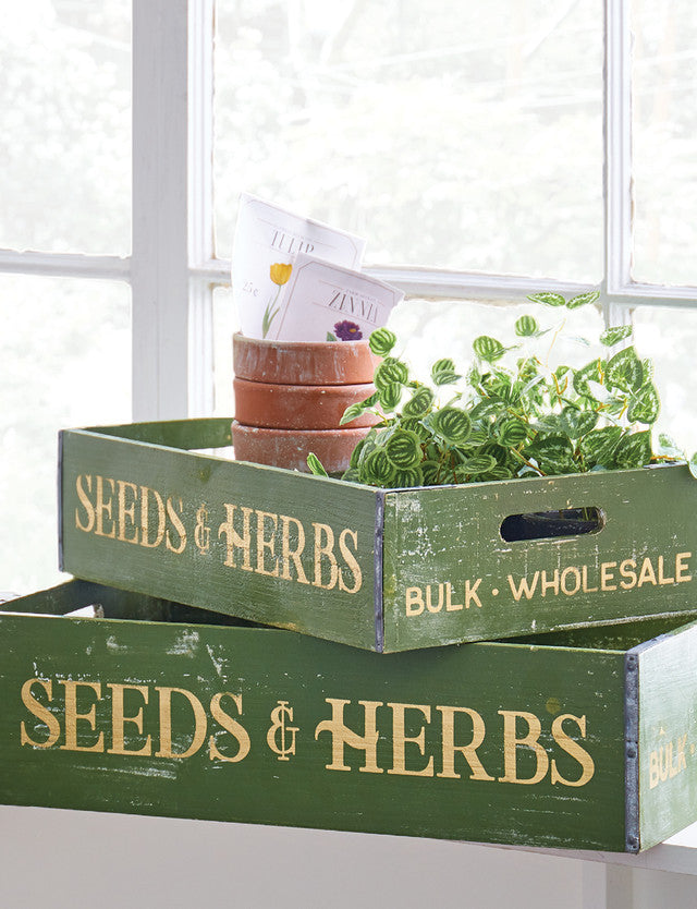 Seeds and Herbs Crate Large