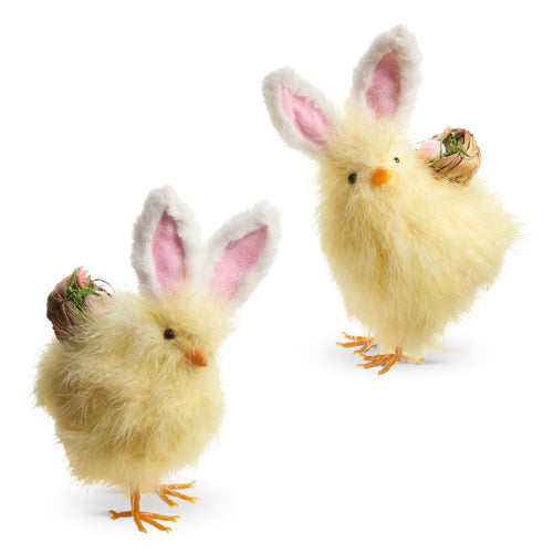 Chick with Bunny Ears