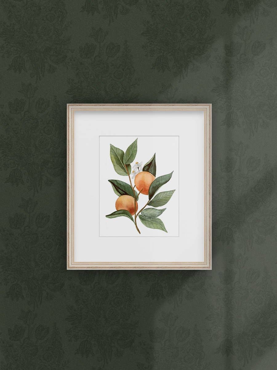 Florida Citrus Botanical Print | Watercolor Fine Art