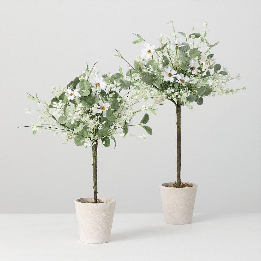 Daisy/Eucalyptus Topiary Small