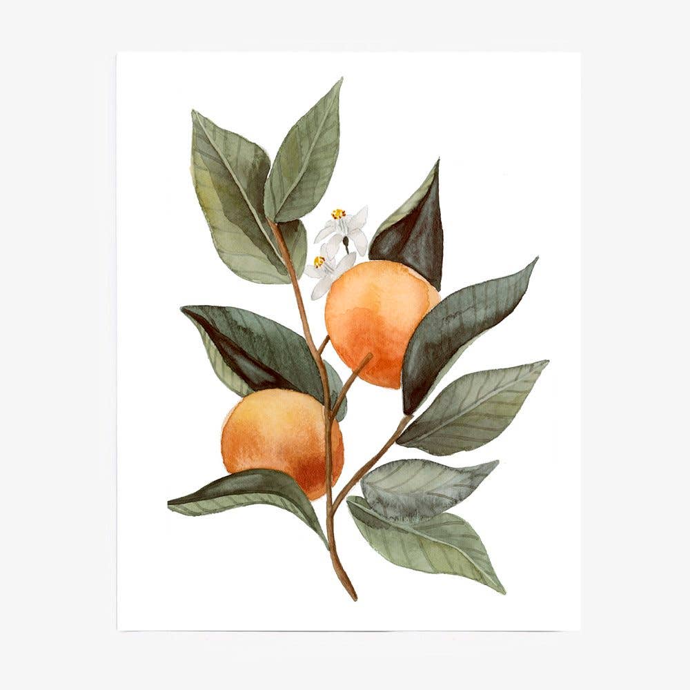 Florida Citrus Botanical Print | Watercolor Fine Art