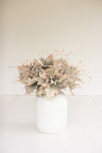 Botanica #2848