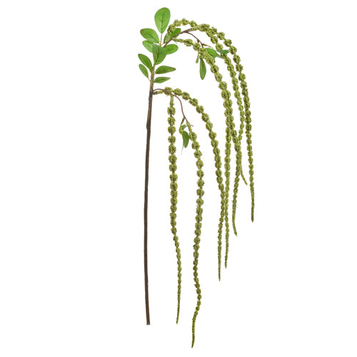 Amaranthus Spray