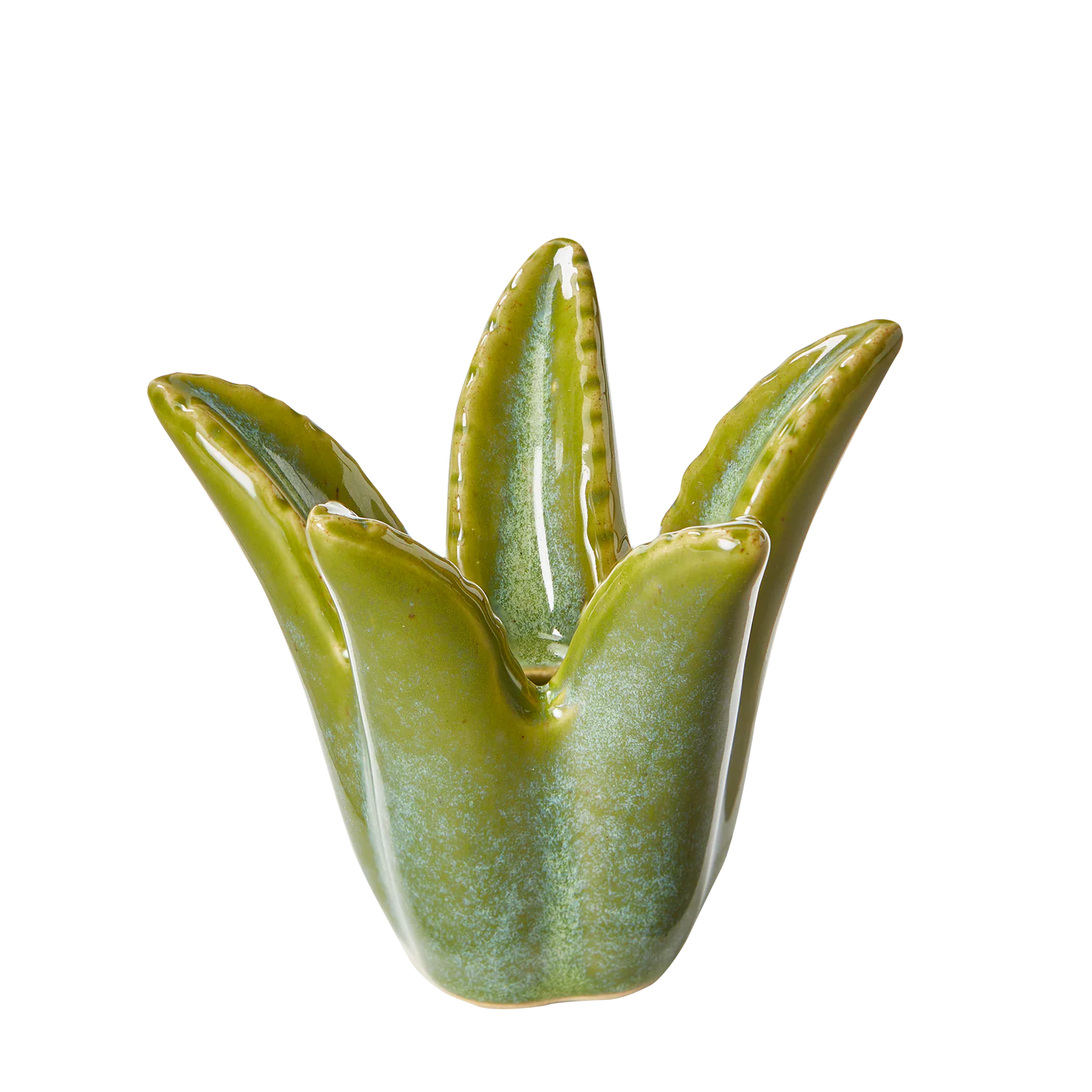 Aloe Vera Taper Holder
