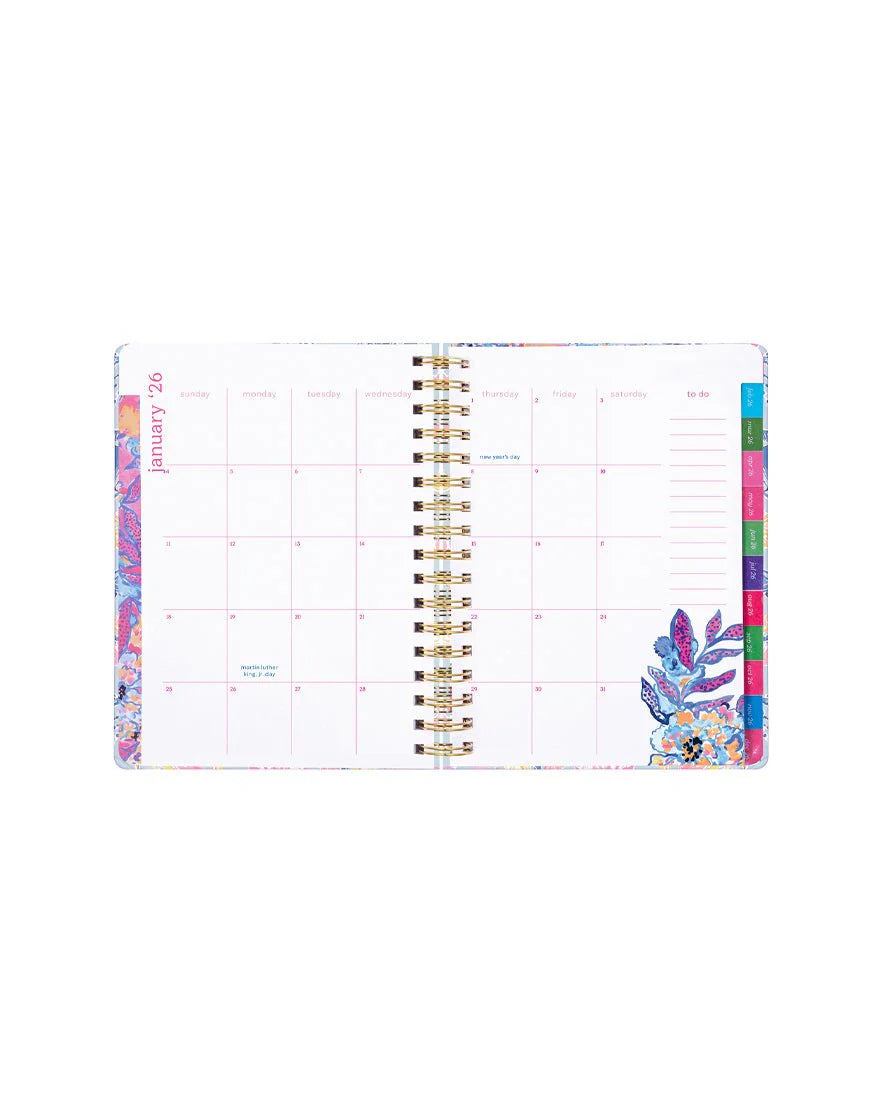 Large 17 Month Agenda