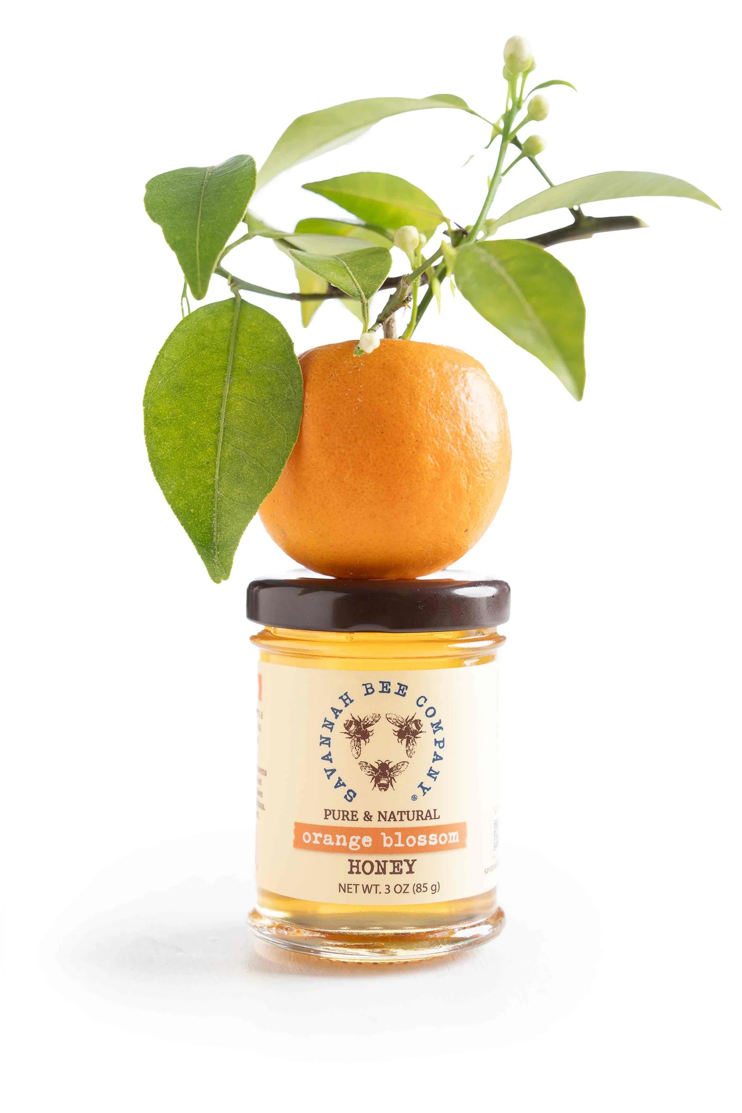Savannah Bee Orange Blossom Honey