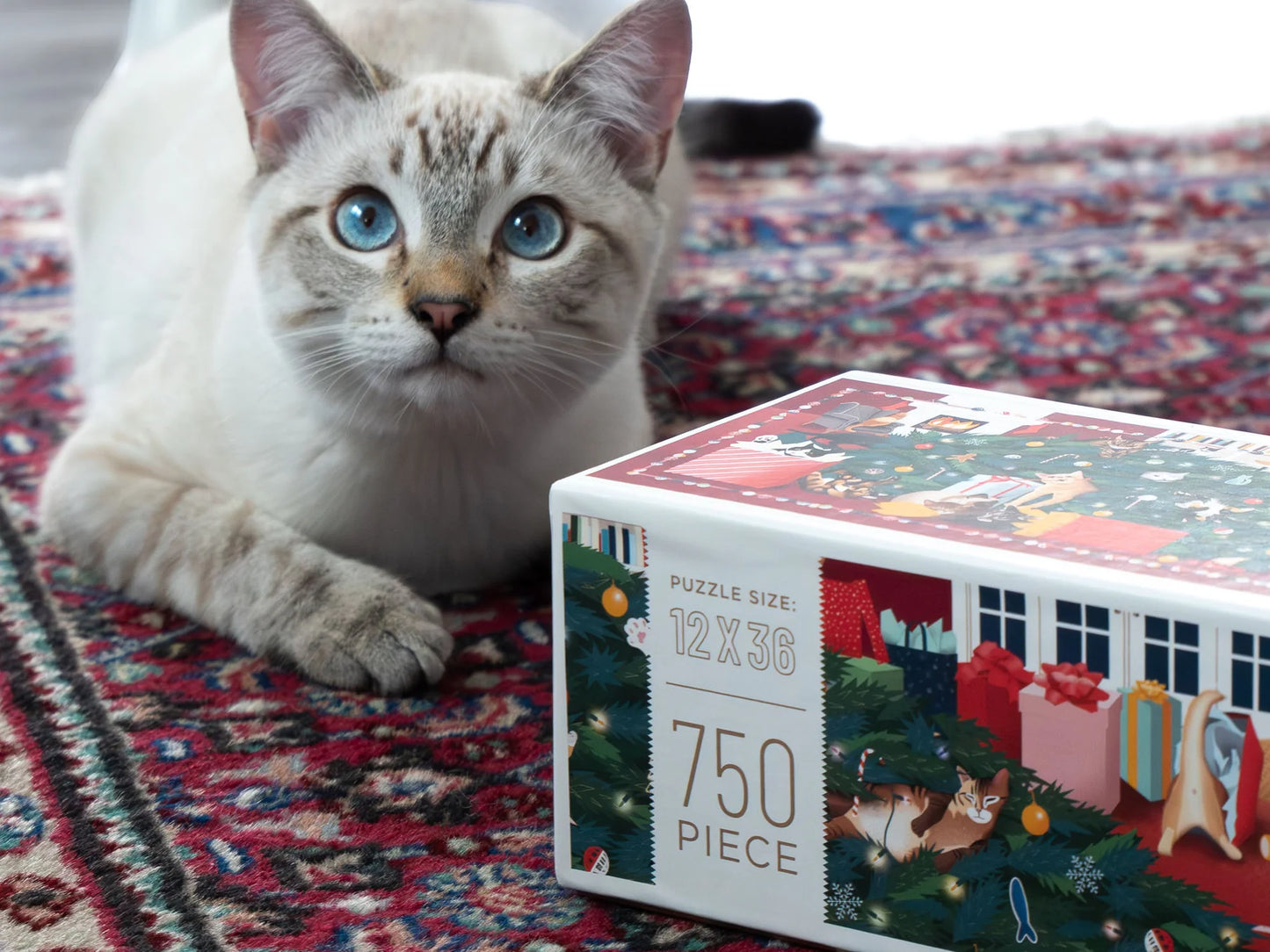 Christmas Kitties Puzzle