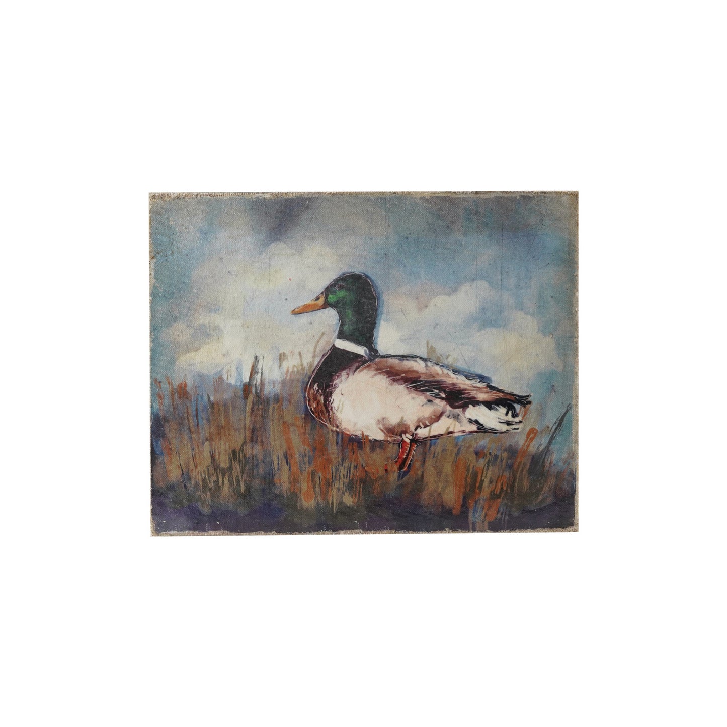 Duck Canvas Wall Décor