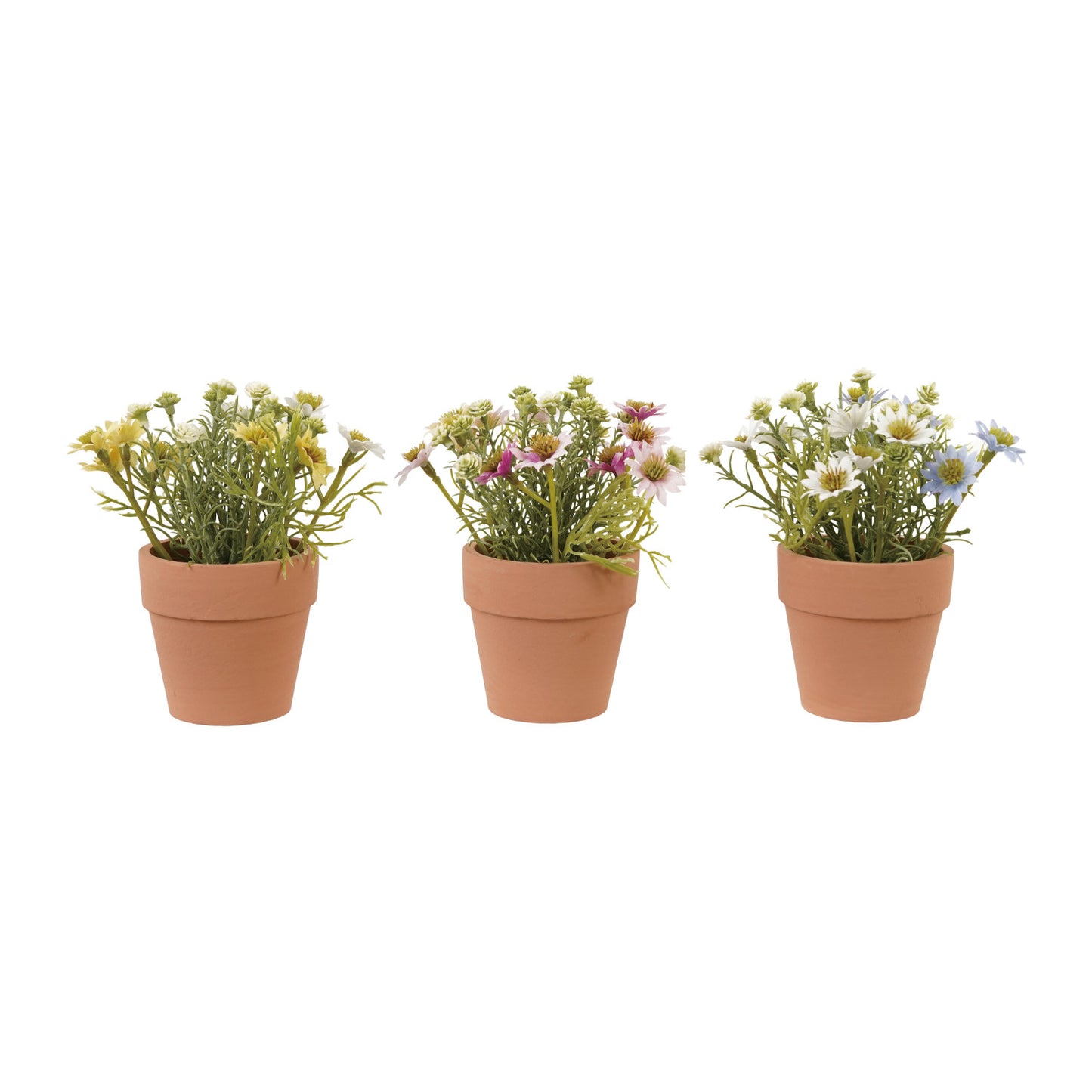 Faux Cosmos in Paper Mache Pot, Pink, Yellow & Blue, 3 Colors