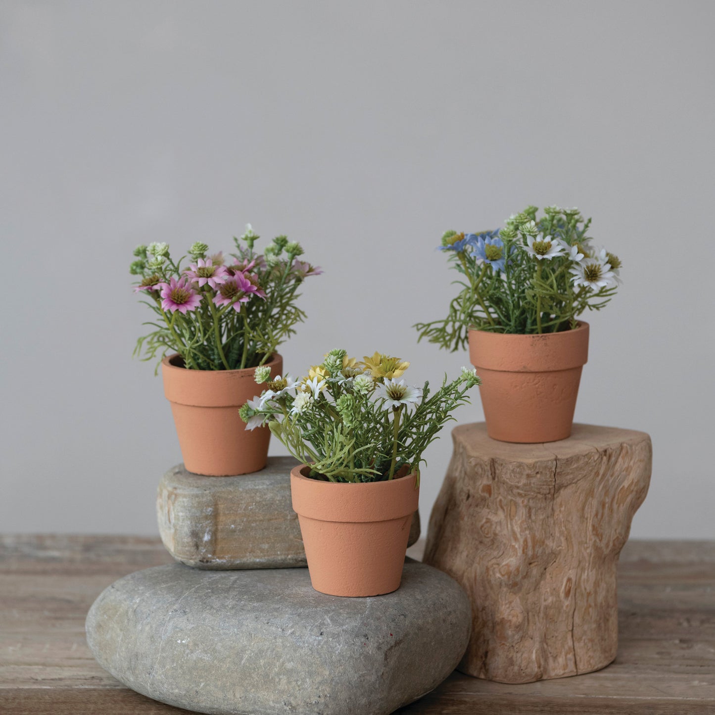 Faux Cosmos in Paper Mache Pot, Pink, Yellow & Blue, 3 Colors