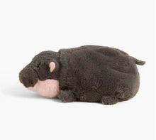 Pygmy Hippo Warmies