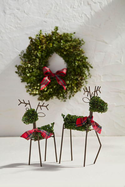 Small Boxwood Reindeer Sitter